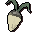 Evil turnip