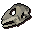 Lizard skull