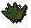 Grimy dwarf weed
