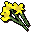 Yellow flowers