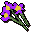 Purple flowers