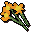 Orange flowers