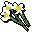 White flowers