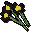 Black flowers