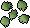 Cactus seed