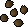 Apple tree seed