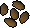 Calquat tree seed