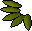 Willow seed