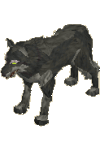 [image: wolf]