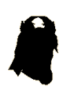 [image: king vallance with question mark on his chest]