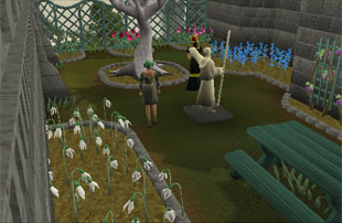[image: the white tree]