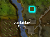[image: location of lumbridge hop patch]