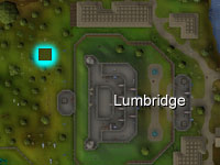 [image: location of lumbridge tree patch]