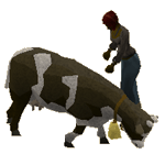 [image: stealing a cowbell]